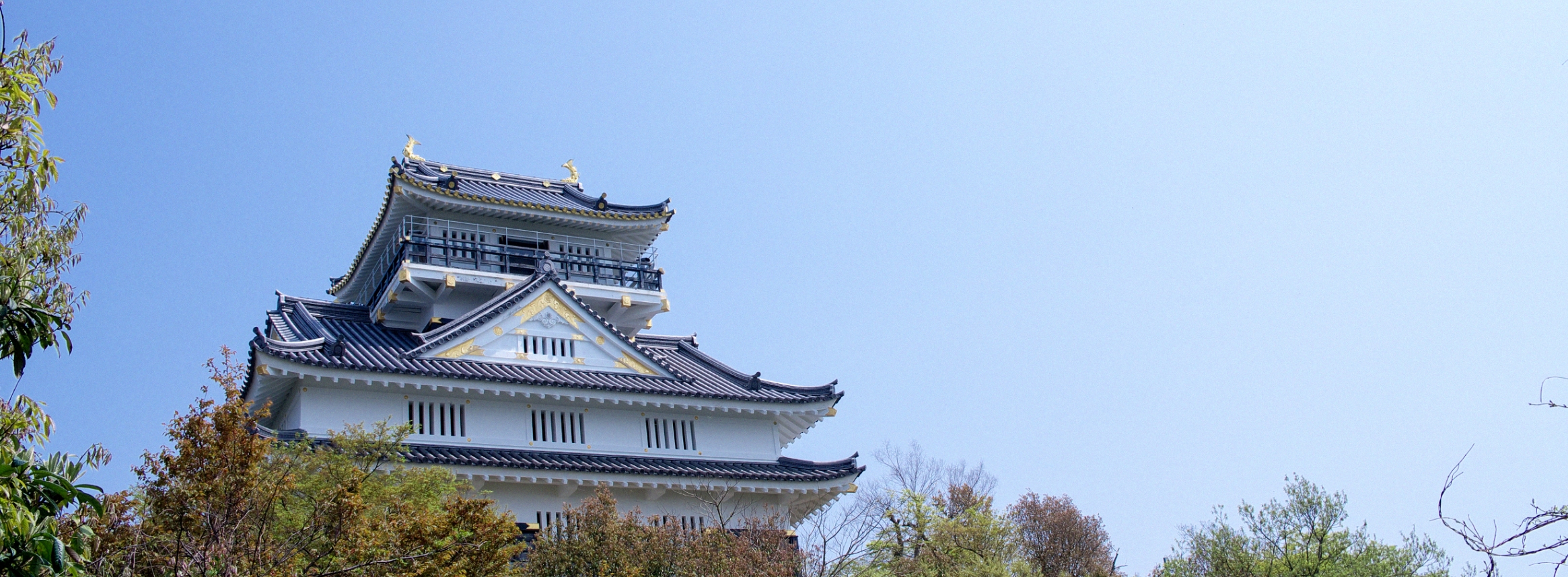 岐阜城の風景写真