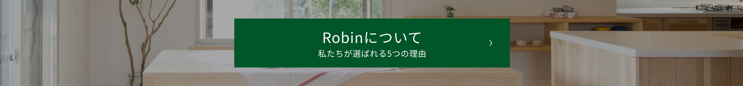 Robinについて