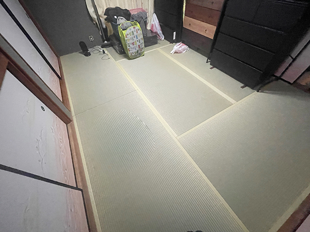 実画像9