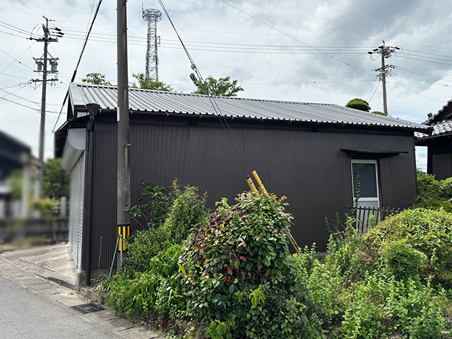 実画像6