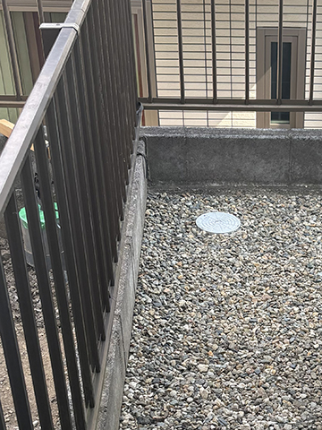 実画像7