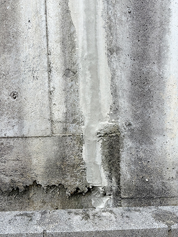 実画像5
